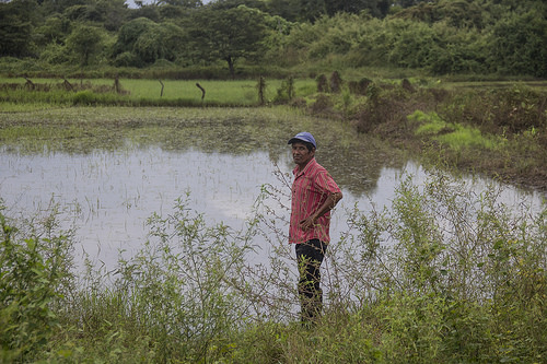 Daule, Ecuador: A region caught between drought and floods